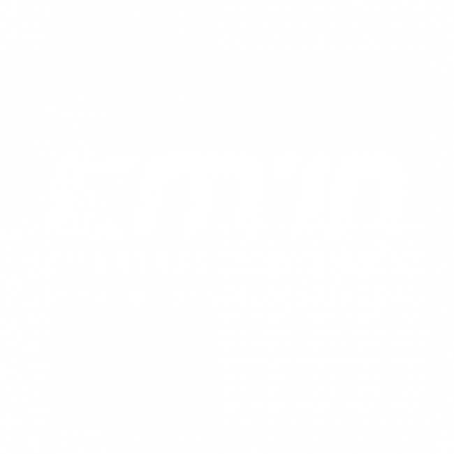 Logo CMIN