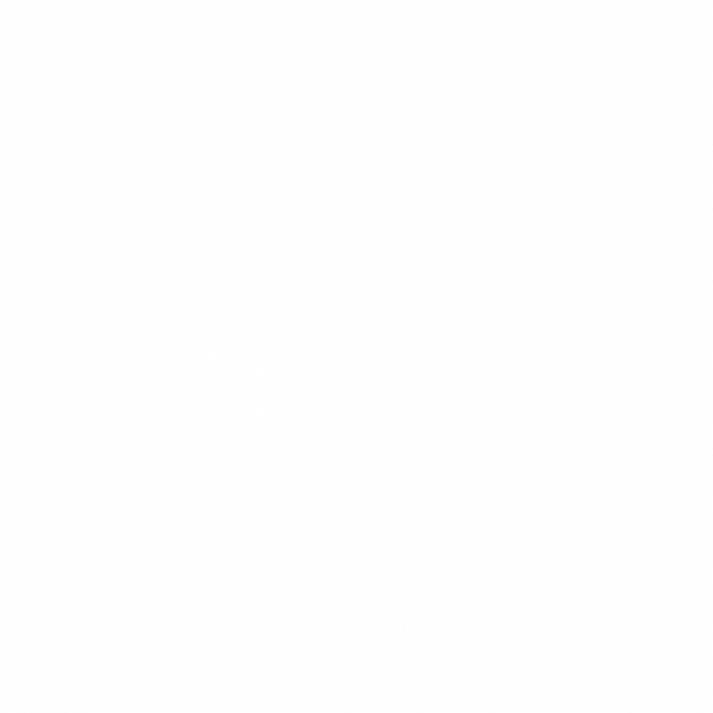 Logo Efficity