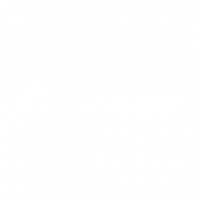 Logo Miss Numerique